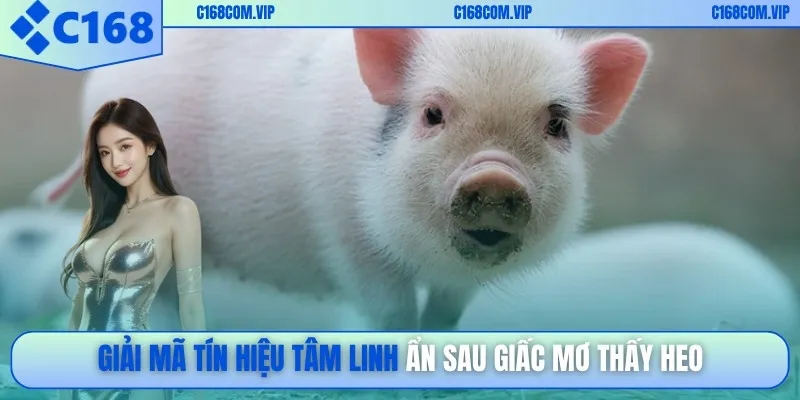 Giải mã tín hiệu tâm linh ẩn sau giấc mơ thấy heo